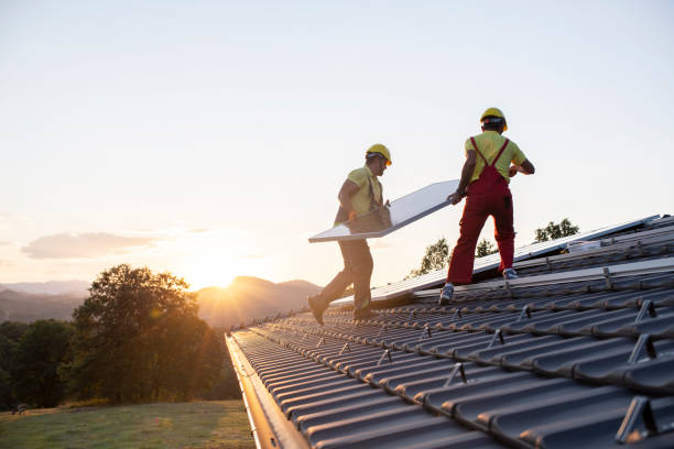 Best Skylight Installation and Repair  in Larimore, ND